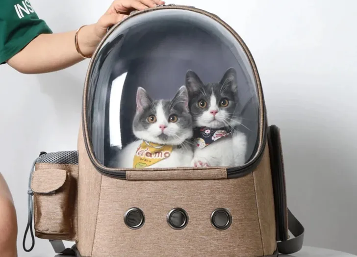 Cats travel bag